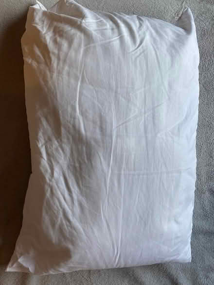 Photo of free 2 x Hollow fibre Pillows (Newark nr hospital) #2