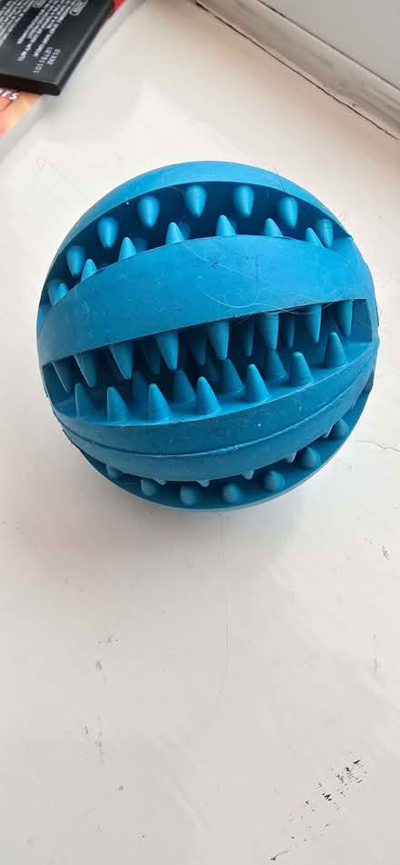 Photo of free Dog Treat Balls (Seaford BN25) #1