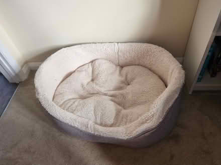 Photo of free Dog bed (Barwell LE9) #1