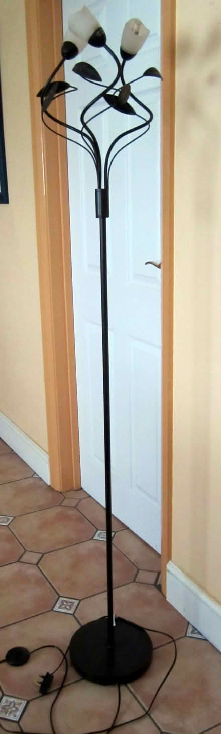 Photo of free Floor standing lamp (Barcombe Mills) #1