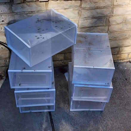Photo of free plastic shoe box (Washington dc ne) #2