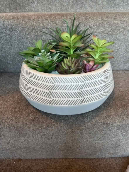 Photo of free Fake succulent arrangement (LS19 rawdon.) #2