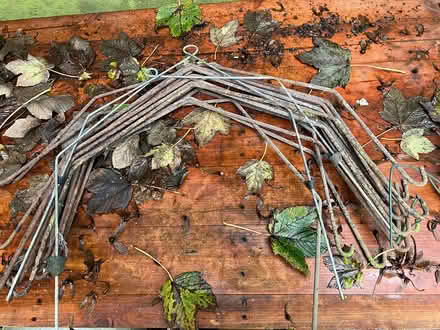 Photo of free Galvanised steel Cloche frames (Burcot OX14) #1