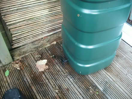 Photo of free Green 100L water butt (Portslade by Sea BN3) #4