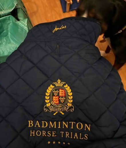 Photo of free Large dog coat (Arborfield RG2) #1