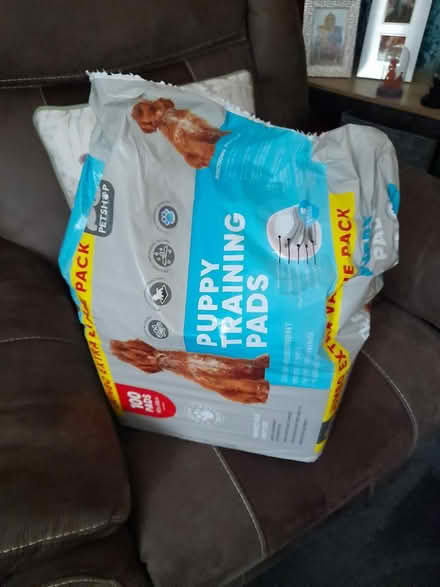 Photo of free Puppy training pads (Loughborough) #1
