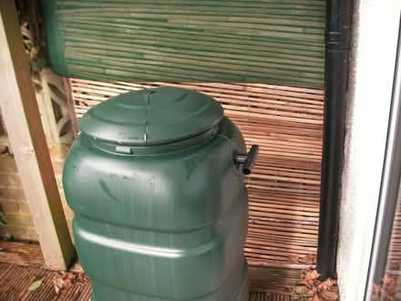 Photo of free Green 100L water butt (Portslade by Sea BN3) #3