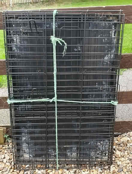 Photo of free Dog Cage (CB4) #1