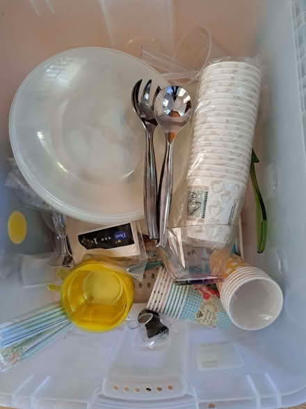 Photo of free Party cutlery, plates, cups (Underbarrow LA8) #1