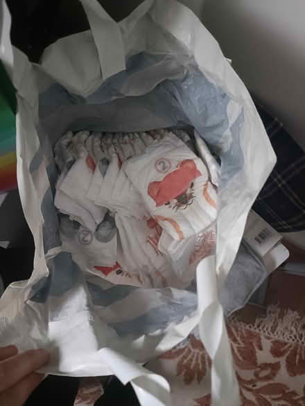 Photo of free Nappies (Musselburgh EH21) #1