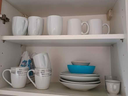 Photo of free Cups and plates (Upton, Poole, BH16) #2