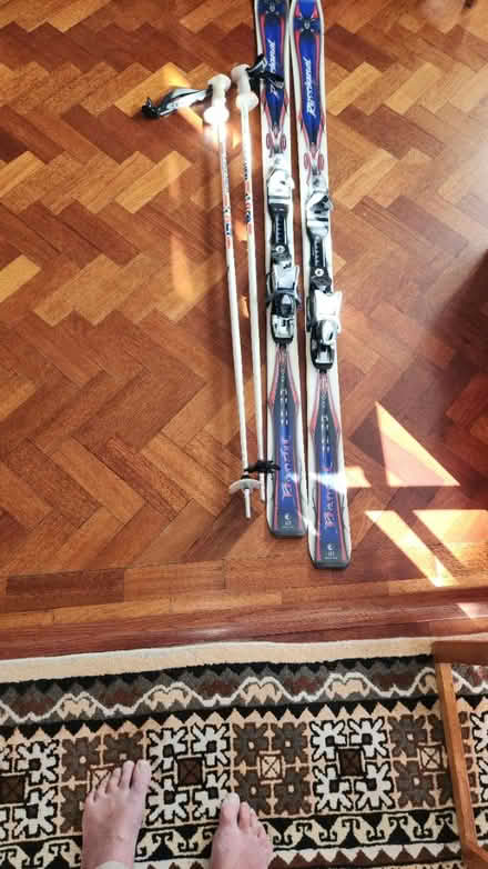 Photo of free Skis and sticks (Ridgeway Dr & Ridgeway Rd) #1