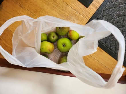 Photo of free Bag of 10 cooking apples (Purbrook PO7) #1
