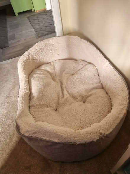 Photo of free Dog bed (Barwell LE9) #2