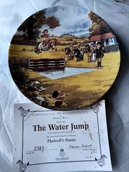 Photo of free Thelwell Ponies collector plate (Leigh RH2) #1