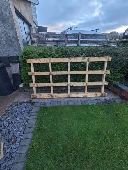 Photo of free Large Wooden Pallet (Neath SA10) #1