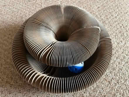 Photo of free Cat toy (Twyford RG10) #3