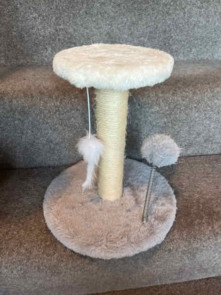 Photo of free Scratching post (LS19 rawdon.) #1