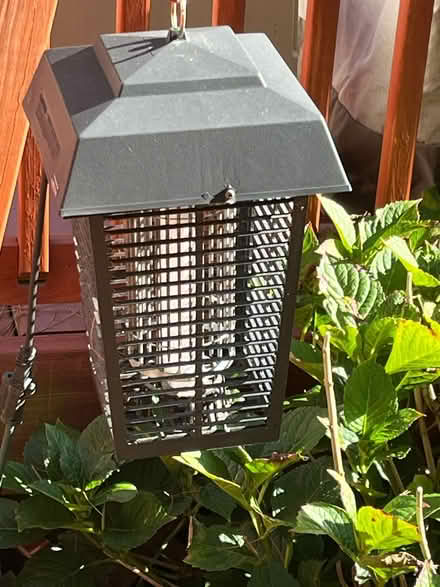 Photo of free Electric Bug Zapper (Jackson, NJ) #2