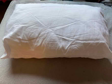 Photo of free 2 x Hollow fibre Pillows (Newark nr hospital) #1