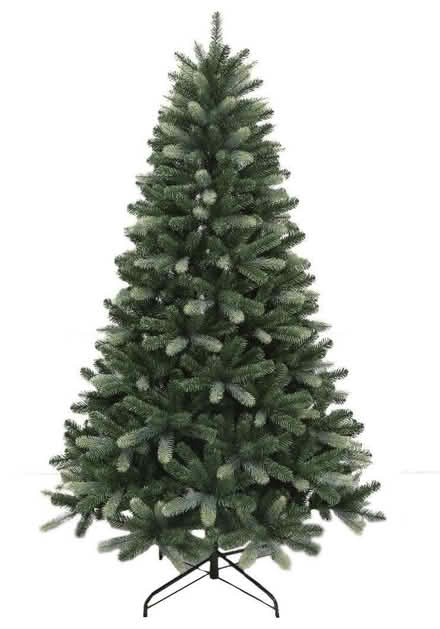 Photo of Christmas tree (Bernards Heath AL1) #1