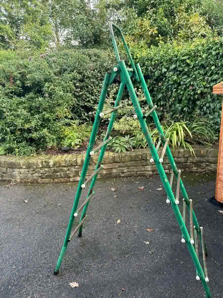 Photo of free Metal Ladder (The Nurserylands TW12) #2