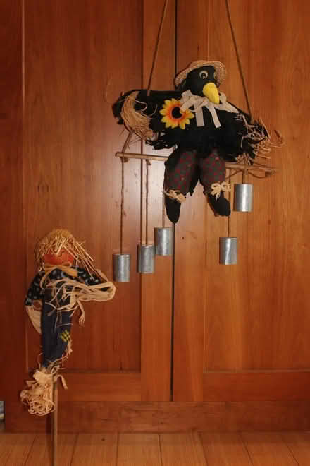 Photo of free Fall/Halloween Decorations (Capitol Hill) #1