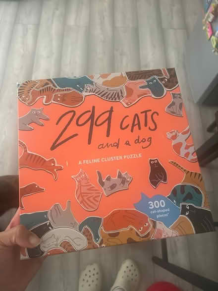 Photo of free Cat jigsaw (Far Cotton, Northampton) #1