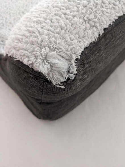 Photo of free Dog bed (Ditchling Common BN6) #2