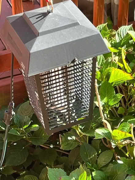 Photo of free Electric Bug Zapper (Jackson, NJ) #1