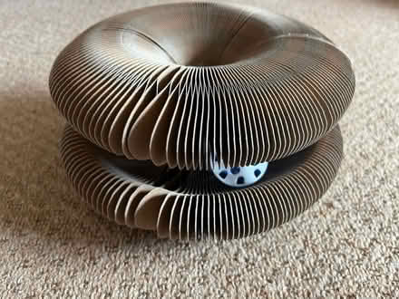 Photo of free Cat toy (Twyford RG10) #2