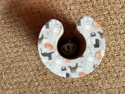 Photo of free Cat toy (Twyford RG10) #4