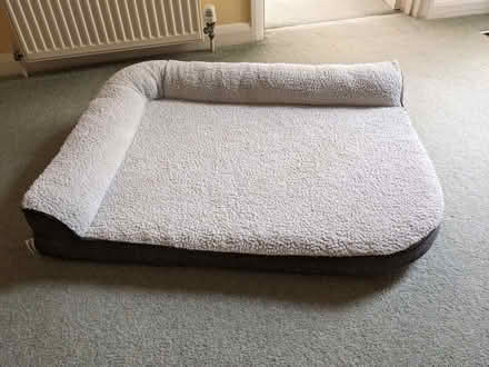 Photo of free Dog bed (Ditchling Common BN6) #1