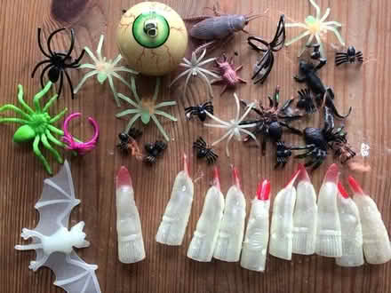Photo of free Witches fingers and spiders (Freehold LA1) #1
