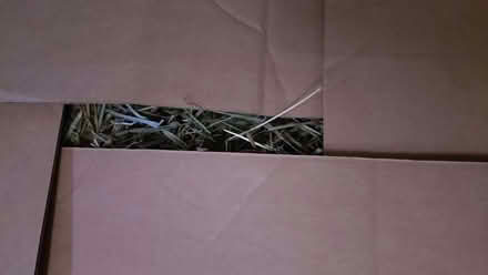 Photo of free Two large boxes of hay (Two Waters HP3) #2