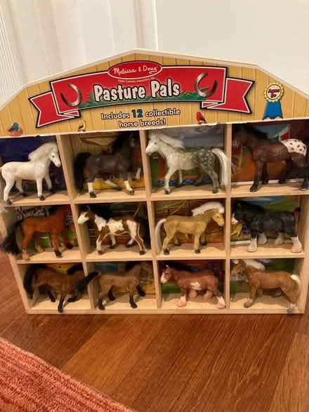 Photo of free 12 Play Horses (Bethesda) #1