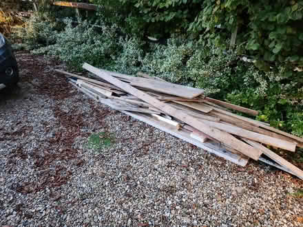 Photo of free bonfire wood timber (Cringleford NR4) #1