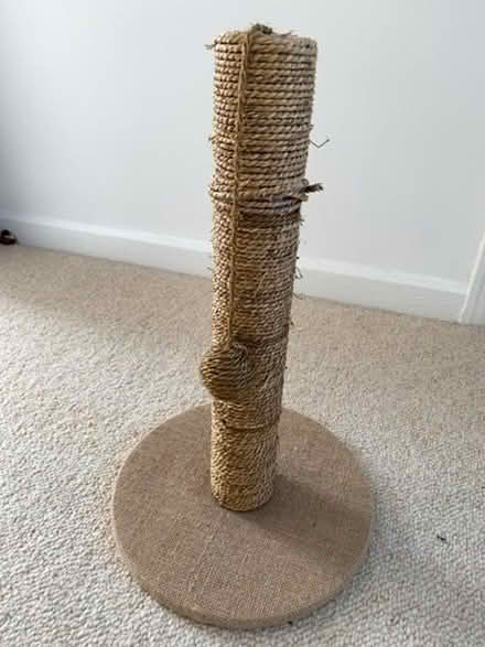 Photo of free Cat scratcher (Eastbourne BN20) #1