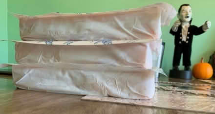 Photo of free Large ice packs (3 total) (Ypsilanti, MI 48198) #3