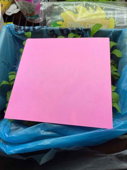 Photo of free Square shape pink paper card (Yadkinville near nebo) #2