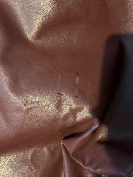 Photo of free Beanbag Chair (Pentrefelin LL52) #2