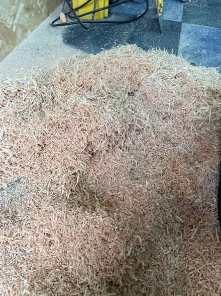 Photo of free Wood savings (Ellesmere Port) #1