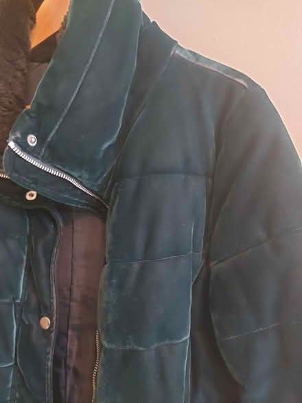 Photo of free Dark green velour puffer coat (Crystal Palace, SE19) #4