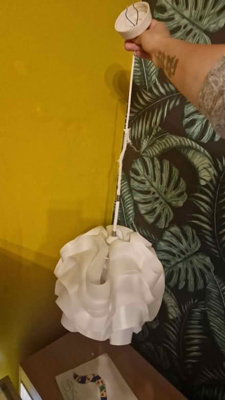 Photo of free Light shade/pendent (Queens Park) #1