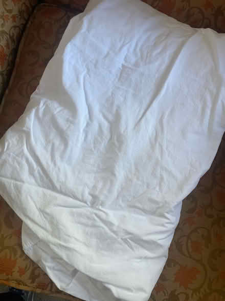 Photo of free 2 XLong twin bed sheets (West Billerica) #1
