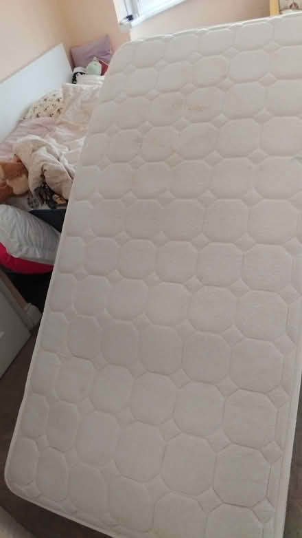 Photo of free single mattress (orpington) #2