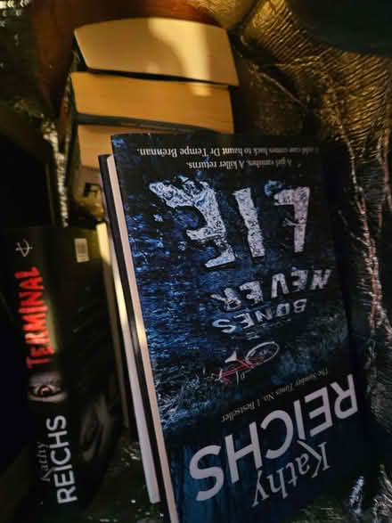 Photo of free Bag 2 of assorted books. (Batemoor S8) #1