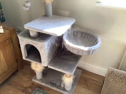 Photo of free Cat tree (Bricknells Meadow OX28) #2