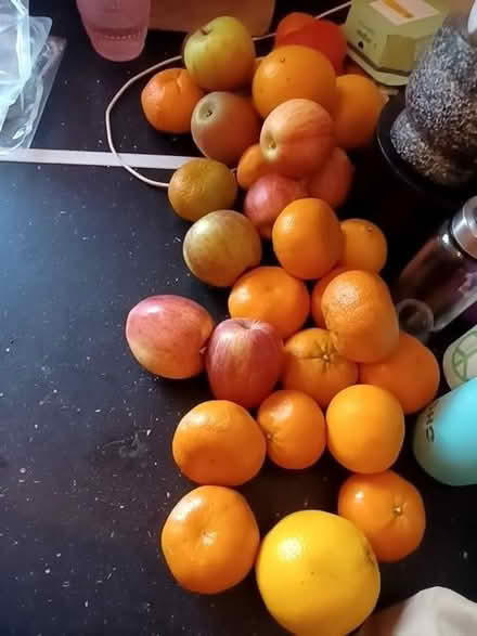 Photo of free Apples and oranges (Tuckswood NR4) #1