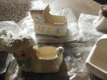 Photo of free China Baby planters (Wexford) #2